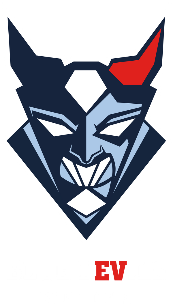 Blue Devils Weiden