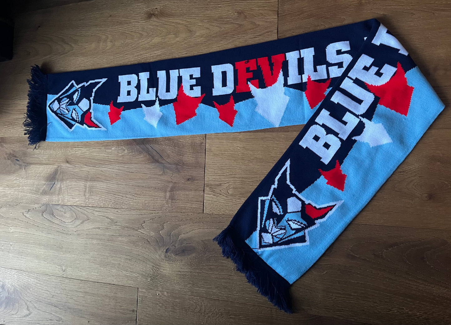 Schal Blue Devils Weiden 'kleine Teufel'