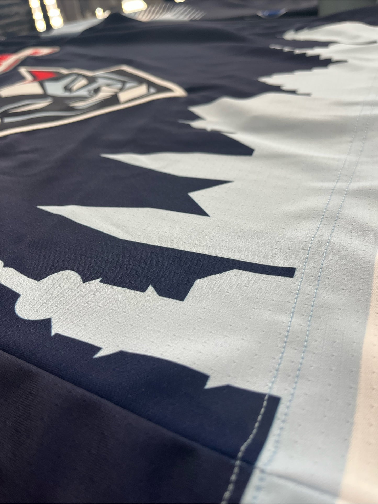 Heimtrikot AUTHENTIC 26/27 'personalisiert' ab 135,00€ ca. 4 Wochen Lieferzeit NEUER SCHNITT